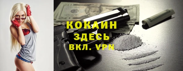 твердый Верея