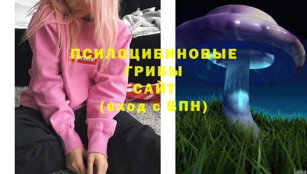 марки lsd Богданович