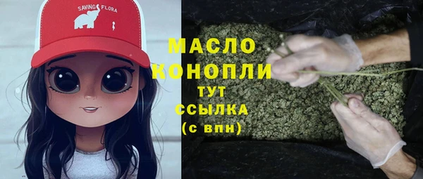 mdpv Богородицк